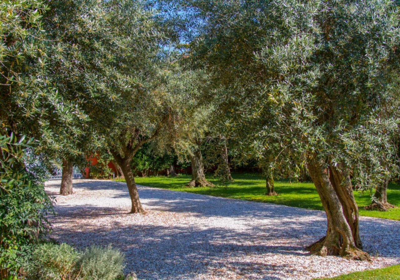Suite Agave Seravezza Buitenkant foto